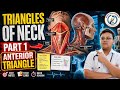 TRIANGLES OF NECK – PART 1 | ANTERIOR TRIANGLE Anatomy Explained Easily