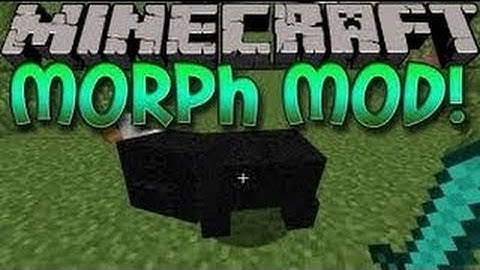 Morph Mod 1.6.4 INSTALLER!