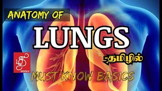 ANATOMY OF LUNGS | LUNGS - IN TAMIL #ANATOMY #MEDICINE