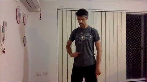 Tai Chi Punch Full Release (Song to Fa Jing)