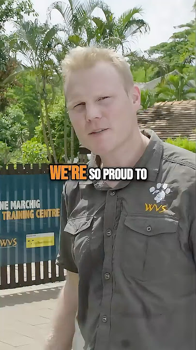 WVS Thailand in Action: Training Vets Worldwide
