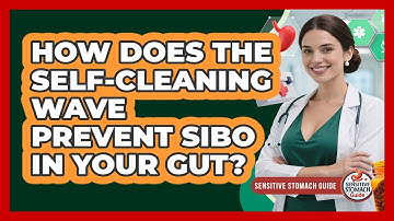 How Does The Self-cleaning Wave Prevent SIBO In Your Gut? - Sensitive Stomach Guide