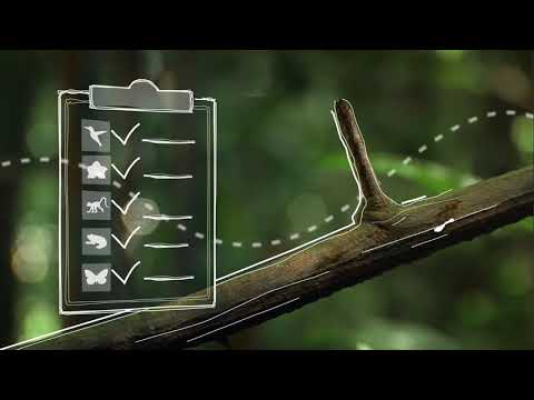 FFEM-ATIBT How to Preserve the Tropical Forest