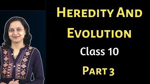 🔴Heredity And Evolution | Part 3 |Class 10 | Biology | Maharashtra State Board