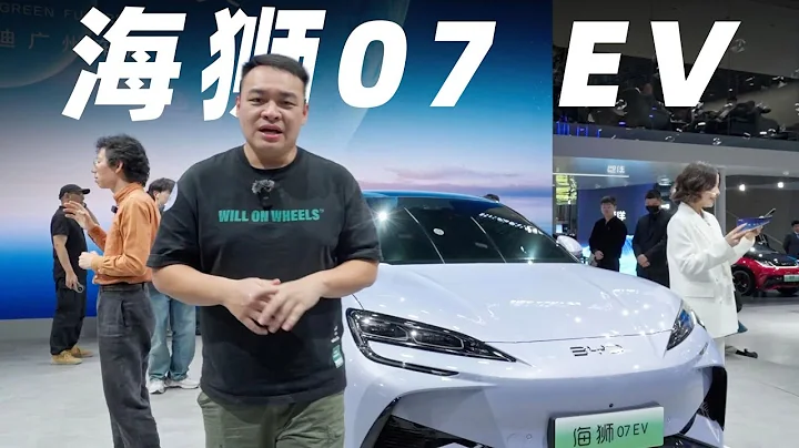 盲猜20-26万RMB，来看BYD比亚迪全新纯电SUV海狮07EV【大家车言论】 - 天天要闻