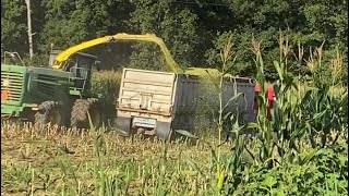 Chopping Silage