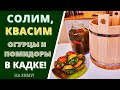 СОЛИМ И КВАСИМ ОГУРЦЫ И ПОМИДОРЫ БОЧКОВЫЕ: КОНСЕРВАЦИЯ НА ЗИМУ!