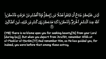 سورةالبقرة| الآيات {197-202}|القارئ: فارس عباد| قرآن خلفية سوداء |كروما