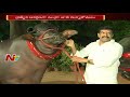 All set for Sadar festival celebrations in Hyderabad