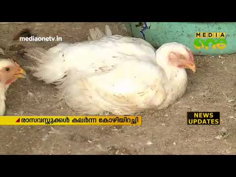 കോഴിയിറച്ചിയിലും മാരകവിഷം: തൂക്കം വര്‍ധിക്കാന്‍ 14 തരം കെമിക്കലുകള്‍