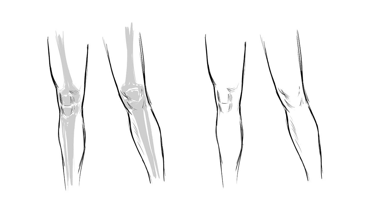 How to Draw the Knee Bent and straight StepbyStep  GVAATS WORKSHOP