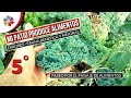 🍅 Mi PATIO produce ALIMENTOS - 5º PASEO + ERRORES + DEPREDADORES + MEJORAS