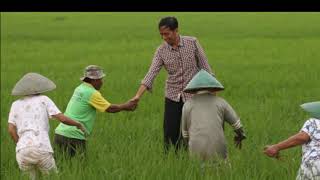 Bapak Presiden Jokowi di Sawah