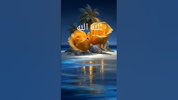 قرآن كريم #صباح_الخير #nature #القزابري #اكسبلور #الرحمن #المصحف #المراه #اعتني