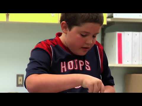 Engineering Design Process: Create