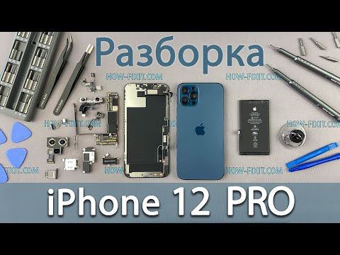 Разборка iPhone 12