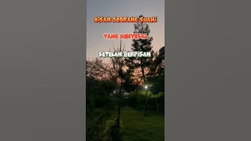 Kisah seorang suami yang berpisah dgn istri nya#shorts