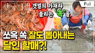 [Full] 한국기행  시골 달인 제2부 자연 밥상의 고수