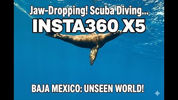 Insta360 X5 Scuba Views