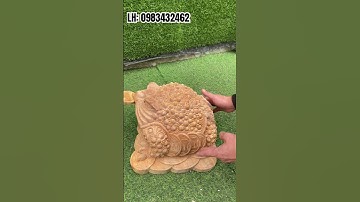 Cóc ngọc am ngang 35cm. Tuyết lên lấp lánh