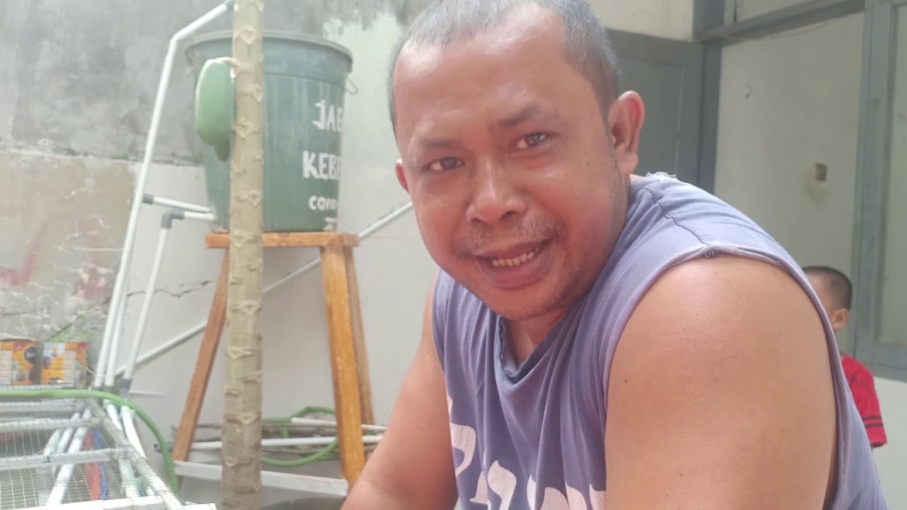 Cara ternak lele sederhana 