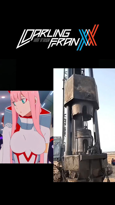 Darling in the FranXX Waifus