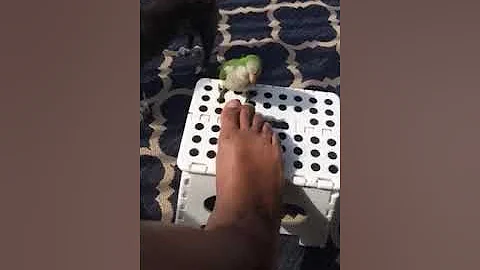 Man gets pedicure for taking care of his sister by...