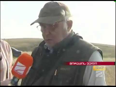 ნაზარლები