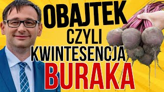 DANIEL OBAJTEK I WYWIAD DLA MONEY.PL - PRÓBA OCIEPLENIA WIZERUNKU? CZY DA SIĘ OCEPLIĆ BURAKA?