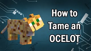 Minecraft How to Tame an OCELOT! 1.17.1 Tutorial