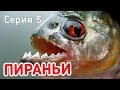 ПИРАНЬИ СЪЕДАЮТ ОКУНЯ! Приключения! Фидерная рыбалка. Серия 5