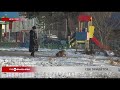 Специализированные площадки для выгула собак необходимы в Иркутске