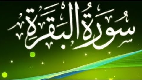 سورة البقرة بصوت "سعيد القاضي" ❤