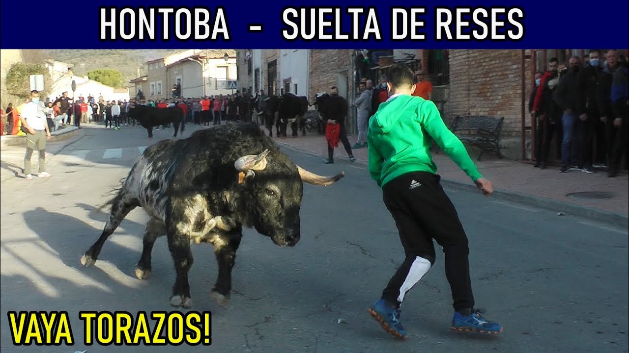 IMPRESIONANTES TOROS EN HONTOBA🔥😱