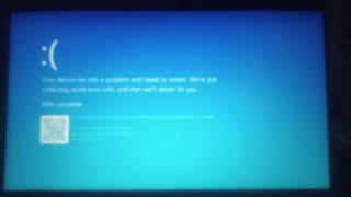 Guild Home Video Has Bsod