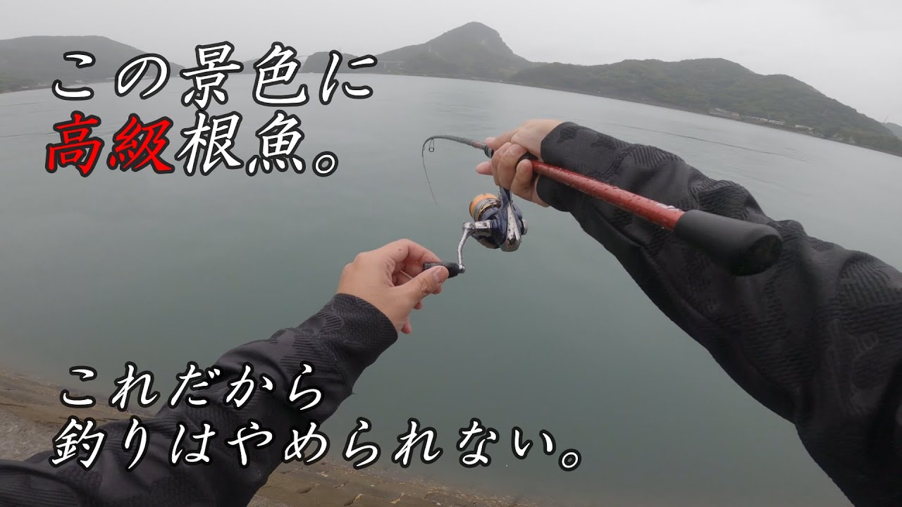 ここでの釣りが最高。～熊本・三角西港