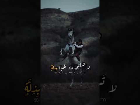 لا تسقني ماء الحياة بذلة عنترة بن شداد