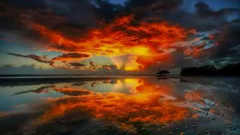 أفرأيت من اتخذ إلهه هواه أفأنت تكون عليه وكيلا - سورة فرقان - القارئ شيخ إدريس أبكر تلاوة خاشعة