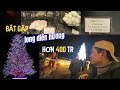 Noenl Năm Nay Vô Tình Gặp Được Long Diêm Hương Hơn 400 Triệu VND
