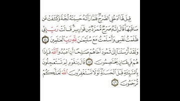 سورة النمل 14 القسم الرابع عشر تكرار كيفي من .. قيل لها ادخلي الصرح .. إلى .. لعلكم ترحمون