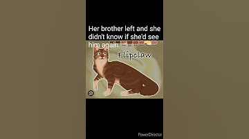 Warrior cats who had the hardest lives part 3 #warriorcats #warriorcatsedit #Bristlefrost