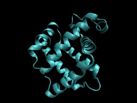 Estructura secundaria de proteínas (3D)