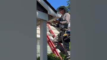 Professional Gutter Installation #shorts #gutter #guttering #raingutter #gutters #gutterguards