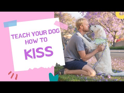 Teach Your Dog How To Kiss #EASYDOGTRICK