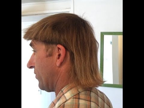 mullet-maintenance