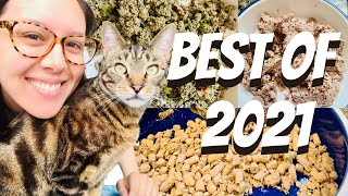 Best cat food brands (2021)  Jess Caticles