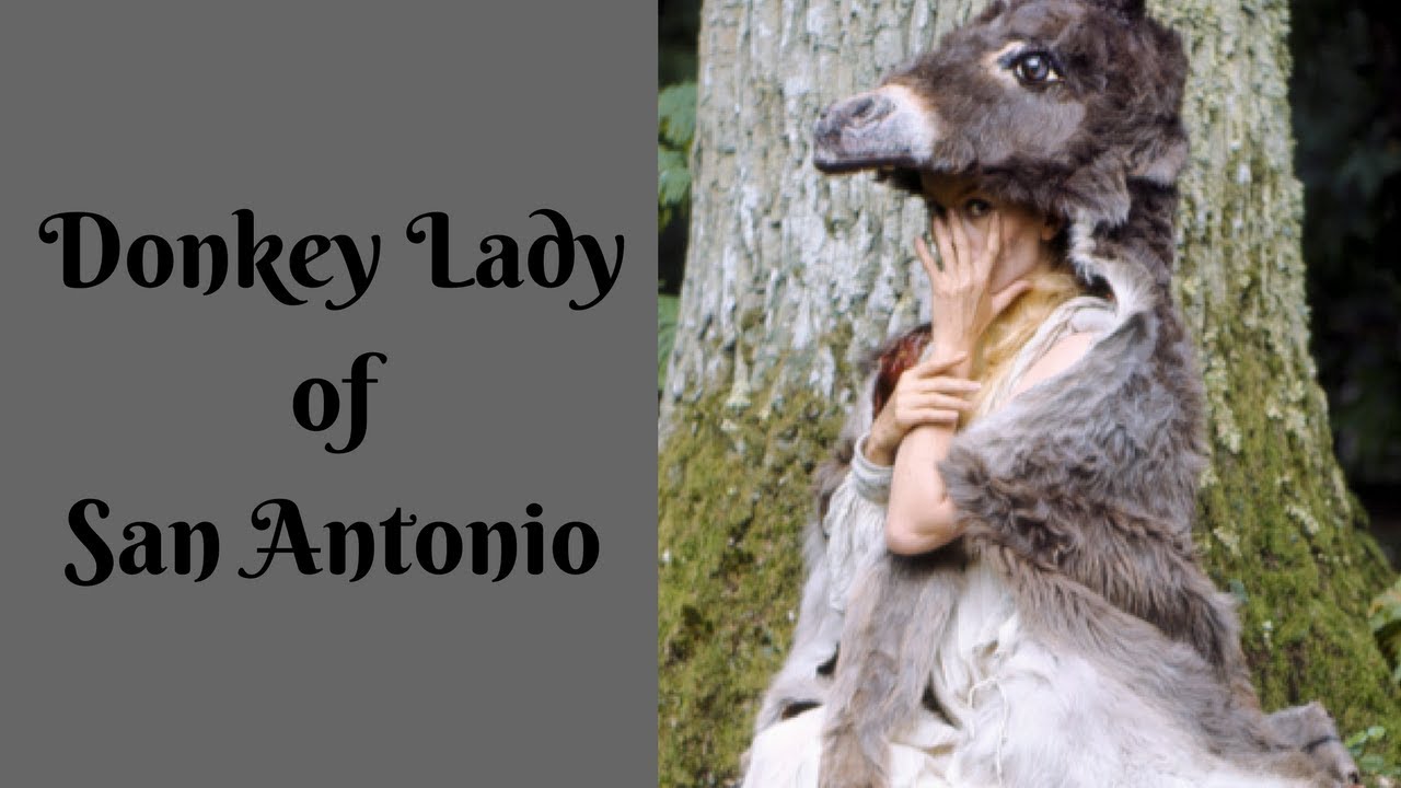 Donkey Lady of San Antonio| Between Monsters and Men - YouTube