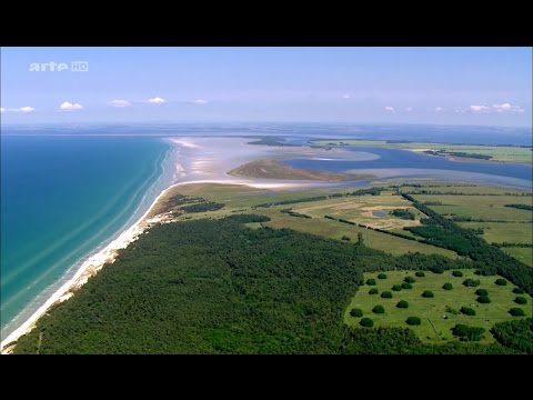 Vidéo: Trésors Pour L'Ermitage Au Fond De La Baltique - Vue Alternative