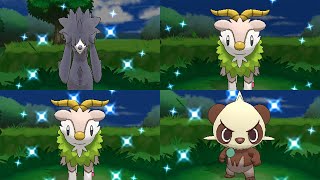 Live Shiny Pancham after 31416 REs + 3 Phases [X BQ#3]