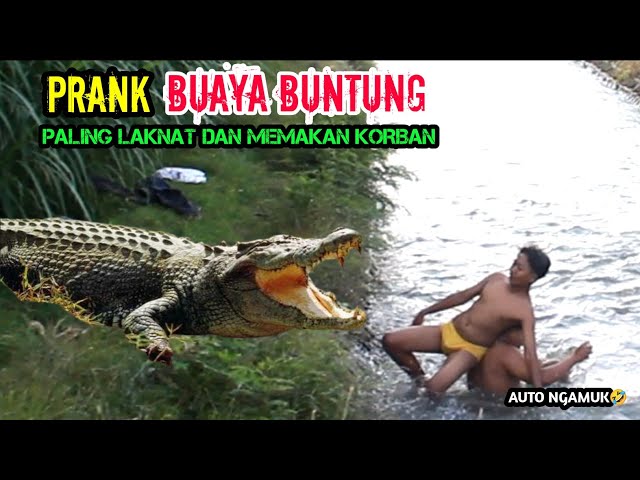 Video Lucu || Prank Buaya Raksasa Paling Ngakak 🤣🤣 || Funniest Crocodile Prank class=